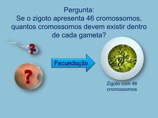 Pergunta:
Se o zigoto apresenta 46 cromossomos,
quantos cromossomos devem existir dentro
de cada gameta?
Zigoto com 46
cromossomos
Fecundação
 