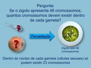 Pergunta:
Se o zigoto apresenta 46 cromossomos,
quantos cromossomos devem existir dentro
de cada gameta?
Dentro do núcleo de cada gameta (células sexuais) só
podem existir 23 cromossomos
Zigoto com 46
cromossomos
Fecundação
 