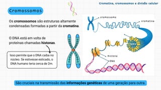 cromossomo
cromatina
cromatina
Histona
DNA
O DNA está em volta de
proteínas chamadas histonas.
Isso permite que o DNA caiba no
núcleo. Se estivesse esticado, o
DNA humano teria cerca de 2m.
Cromossomos
Os cromossomos são estruturas altamente
condensadas formadas a partir da cromatina.
São cruciais na transmissão das informações genéticas de uma geração para outra.
Cromatina, cromossomos e divisão celular
Cromatina, cromossomos e divisão celular
 