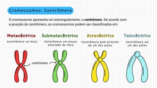 O cromossomo apresenta um estrangulamento: o centrômero. De acordo com
a posição do centrômero, os cromossomos podem ser classificados em:
Metacêntrico
Metacêntrico
Centrômero no meio
Submetacêntrico
Submetacêntrico
Centrômero um pouco
afastado do meio
Acrocêntrico
Acrocêntrico
Centrômero bem próximo
de um dos polos
Telocêntrico
Telocêntrico
Centrômero em
um dos polos
Cromossomos: Centrômero
centrômero
 
