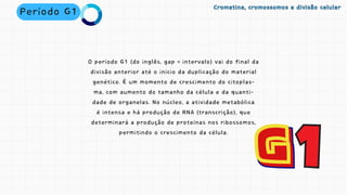 O período G1 (do inglês, gap = intervalo) vai do final da
divisão anterior até o início da duplicação do material
genético. É um momento de crescimento do citoplas-
ma, com aumento do tamanho da célula e da quanti-
dade de organelas. No núcleo, a atividade metabólica
é intensa e há produção de RNA (transcrição), que
determinará a produção de proteínas nos ribossomos,
permitindo o crescimento da célula.
Período G1 Cromatina, cromossomos e divisão celular
Cromatina, cromossomos e divisão celular
 
