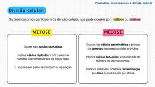 Divisão celular
Os cromossomos participam da divisão celular, que pode ocorrer por:
Ocorre nas células somáticas.
Forma células diploides: com o mesmo
número de cromossomos da célula-mãe.
É responsável pelo crescimento e reparação.
MITOSE
Ocorre nas células germinativas e produz
os gametas: espermatozoides e óvulos.
Produz células haploides: com metade do
número de cromossomos.
Durante a meiose, ocorre a recombinação
genética (variabilidade genética).
MEIOSE
Cromatina, cromossomos e divisão celular
Cromatina, cromossomos e divisão celular
mitose meiose
mitose meiose
ou
 