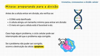 Se o problema não puder ser corrigido,
ocorre a destruição da célula: apoptose.
Mitose: preparando para a divisão
Antes de a célula entrar em divisão, ela verifica se:
O DNA está danificado
A célula atingiu um tamanho mínimo para entrar em divisão
O meio em que a célula está é favorável e etc.
Caso haja algum problema, o ciclo celular pode ser
interrompido até que o problema seja corrigido.
Cromatina, cromossomos e divisão celular
Cromatina, cromossomos e divisão celular
 