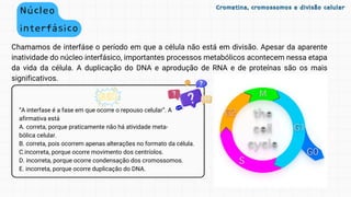“A interfase é a fase em que ocorre o repouso celular”. A
afirmativa está
A. correta, porque praticamente não há atividade meta-
bólica celular.
B. correta, pois ocorrem apenas alterações no formato da célula.
C.incorreta, porque ocorre movimento dos centríolos.
D. incorreta, porque ocorre condensação dos cromossomos.
E. incorreta, porque ocorre duplicação do DNA.
Chamamos de interfáse o período em que a célula não está em divisão. Apesar da aparente
inatividade do núcleo interfásico, importantes processos metabólicos acontecem nessa etapa
da vida da célula. A duplicação do DNA e aprodução de RNA e de proteínas são os mais
significativos.
Núcleo
interfásico
Cromatina, cromossomos e divisão celular
Cromatina, cromossomos e divisão celular
 