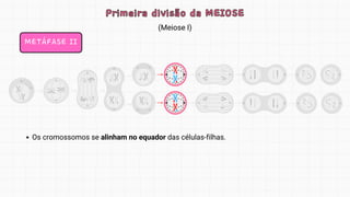 (Meiose I)
Primeira divisão da MEIOSE
Primeira divisão da MEIOSE
METÁFASE II
Os cromossomos se alinham no equador das células-filhas.
 