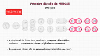 (Meiose I)
Primeira divisão da MEIOSE
Primeira divisão da MEIOSE
TELÓFASE II
A divisão celular é concluída, resultando em quatro células-filhas,
cada uma com metade do número original de cromossomos.
Essas quatro células são os gametas (espermatozoides ou óvulos).
 