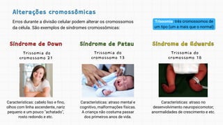 Alterações cromossômicas
Alterações cromossômicas
Síndrome de Down
Síndrome de Down
Trissomia do
cromossomo 21
Síndrome de Patau
Síndrome de Patau
Trissomia do
cromossomo 13
Síndrome de Edwards
Síndrome de Edwards
Trissomia do
cromossomo 18
Erros durante a divisão celular podem alterar os cromossomos
da célula. São exemplos de síndromes cromossômicas:
Trissomia: três cromossomos de
um tipo (um a mais que o normal)
Características: atraso mental e
cognitivo, malformações físicas.
A criança não costuma passar
dos primeiros anos de vida.
Características: cabelo liso e fino,
olhos com linha ascendente, nariz
pequeno e um pouco "achatado",
rosto redondo e etc.
Características: atraso no
desenvolvimento neuropsicomotor;
anormalidades de crescimento e etc.
 