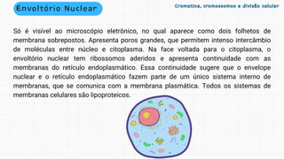 Envoltório Nuclear Cromatina, cromossomos e divisão celular
Cromatina, cromossomos e divisão celular
Só é visível ao microscópio eletrônico, no qual aparece como dois folhetos de
membrana sobrepostos. Apresenta poros grandes, que permitem intenso intercâmbio
de moléculas entre núcleo e citoplasma. Na face voltada para o citoplasma, o
envoltório nuclear tem ribossomos aderidos e apresenta continuidade com as
membranas do retículo endoplasmático. Essa continuidade sugere que o envelope
nuclear e o retículo endoplasmático fazem parte de um único sistema interno de
membranas, que se comunica com a membrana plasmática. Todos os sistemas de
membranas celulares são lipoproteicos.
 