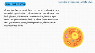 Nucleoplasma
Cromatina, cromossomos e divisão celular
Cromatina, cromossomos e divisão celular
O nucleoplasma (cariolinfa ou suco nuclear) é um
material gelatinoso quimicamente semelhante ao
hialoplasma, com o qual tem comunicação direta por
meio dos poros do envoltório nuclear. O nucleoplasma
tem grande concentração de proteínas, de RNA e de
nucleotídeos livres.
 