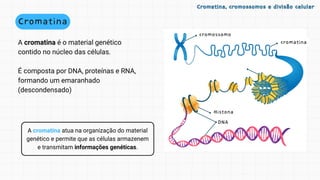 A cromatina atua na organização do material
genético e permite que as células armazenem
e transmitam informações genéticas.
Cromatina
A cromatina é o material genético
contido no núcleo das células.
É composta por DNA, proteínas e RNA,
formando um emaranhado
(descondensado)
Cromatina, cromossomos e divisão celular
Cromatina, cromossomos e divisão celular
cromossomo
cromatina
cromatina
Histona
DNA
 