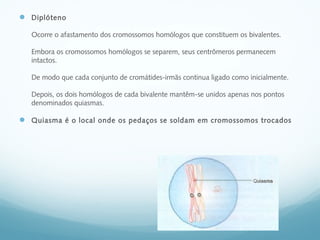  Diplóteno
Ocorre o afastamento dos cromossomos homólogos que constituem os bivalentes.
Embora os cromossomos homólogos se separem, seus centrômeros permanecem
intactos.
De modo que cada conjunto de cromátides-irmãs continua ligado como inicialmente.
Depois, os dois homólogos de cada bivalente mantêm-se unidos apenas nos pontos
denominados quiasmas.
 Quiasma é o local onde os pedaços se soldam em cromossomos trocados
 