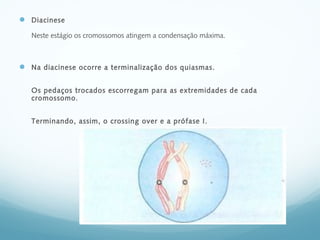  Diacinese
Neste estágio os cromossomos atingem a condensação máxima.
 Na diacinese ocorre a terminalização dos quiasmas.
Os pedaços trocados escorregam para as extremidades de cada
cromossomo.
Terminando, assim, o crossing over e a prófase I.
 