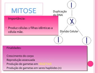 MITOSE 
 Importância: 
 Importância: 
 Produz células 2 filhas idênticas a 
célula mãe. 
 Produz células 2 filhas idênticas a 
célula mãe. 
 Finalidades: 
 Finalidades: 
Duplicação 
do DNA 
Divisão Celular 
- Crescimento do corpo 
- Reprodução assexuada 
- Produção de gametas em VEGETAIS 
- Produção de gametas em seres haplóides (n) 
- Crescimento do corpo 
- Reprodução assexuada 
- Produção de gametas em VEGETAIS 
- Produção de gametas em seres haplóides (n) 
 