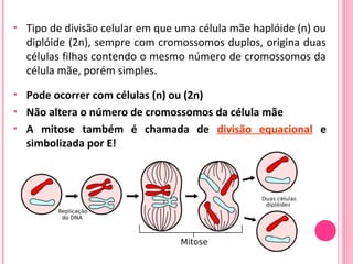 • Tipo de divisão celular em que uma célula mãe haplóide (n) ou 
diplóide (2n), sempre com cromossomos duplos, origina duas 
células filhas contendo o mesmo número de cromossomos da 
célula mãe, porém simples. 
• Pode ocorrer com células (n) ou (2n) 
• Não altera o número de cromossomos da célula mãe 
• A mitose também é chamada de divisão equacional e 
simbolizada por E! 
 