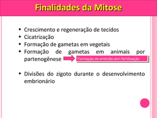 FFiinnaalliiddaaddeess ddaa MMiittoossee 
• Crescimento e regeneração de tecidos 
• Cicatrização 
• Formação de gametas em vegetais 
• Formação de gametas em animais por 
partenogênese 
FFoorrmmaaççããoo d dee e emmbbrriãiãoo s seemm f feerrttiliilzizaaççããoo 
• Divisões do zigoto durante o desenvolvimento 
embrionário 
 
