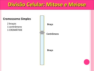 DDiivviissããoo CCeelluullaarr:: MMiittoossee ee MMeeiioossee 
Cromossomo Simples 
Braço 
Centrômero 
Braço 
2 braços 
1 centrômero 
1 CROMÁTIDE 
 