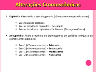 AAlltteerraaççõõeess CCrroommoossssôômmiiccaass 
 Euploidia: Altera todo o teor do genoma (não ocorre na espécie humana) 
o 2n: indivíduos diplóides 
o 2n – n: indivíduos haplóides – Ex: zangão 
o 2n + n: indivíduos triplóides – Ex: Banana (Musa paradisíaca) 
 Aneuploidia: Altera o número de cromossomos do cariótipo (conjunto de 
cromossomos diplóides) 
o 2n + 1 (47 cromossomos) – Trissomia 
o 2n + 2 (48 cromossomos) – Tetrassomia 
o 2n – 1 (45 cromossomos) – Monossomia 
o 2n – 2 (44 cromossomos) – Nulissomia 
 