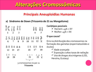 AAlltteerraaççõõeess CCrroommoossssôômmiiccaass 
Principais Aneuploidias Humanas 
a) Síndrome de Down (Trissomia do 21 ou Mongolismo) 
3 cromossomos no par 21 
Trissomia 
Cariótipos possíveis 
 Homem: 45A + XY 
 Mulher: 45A + XX 
O que causa? 
Erro na distribuição dos cromossomos na 
formação dos gametas (espermatozóides e 
óvulos) 
 Idade avançada 
 Exposição a altas taxas de radiação 
 Uso de drogas alucinógenas (LSD, 
Heroína, Ecstasy) 
 