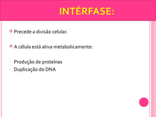 INTÉRFASE: 
 Precede a divisão celular. 
 A célula está ativa metabolicamente: 
- Produção de proteínas 
- Duplicação do DNA 
 