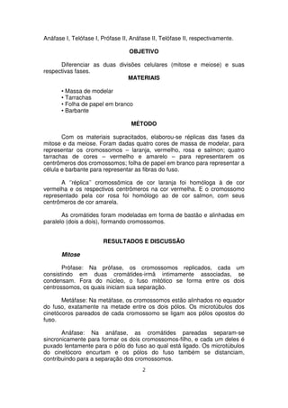 Anáfase I, Telófase I, Prófase II, Anáfase II, Telófase II, respectivamente.
OBJETIVO
Diferenciar as duas divisões celulares (mitose e meiose) e suas
respectivas fases.
MATERIAIS
• Massa de modelar
• Tarrachas
• Folha de papel em branco
• Barbante
MÉTODO
Com os materiais supracitados, elaborou-se réplicas das fases da
mitose e da meiose. Foram dadas quatro cores de massa de modelar, para
representar os cromossomos – laranja, vermelho, rosa e salmon; quatro
tarrachas de cores – vermelho e amarelo – para representarem os
centrômeros dos cromossomos; folha de papel em branco para representar a
célula e barbante para representar as fibras do fuso.
A ‘’réplica’’ cromossômica de cor laranja foi homóloga à de cor
vermelha e os respectivos centrômeros na cor vermelha. E o cromossomo
representado pela cor rosa foi homólogo ao de cor salmon, com seus
centrômeros de cor amarela.
As cromátides foram modeladas em forma de bastão e alinhadas em
paralelo (dois a dois), formando cromossomos.
RESULTADOS E DISCUSSÃO
Mitose
Prófase: Na prófase, os cromossomos replicados, cada um
consistindo em duas cromátides-irmã intimamente associadas, se
condensam. Fora do núcleo, o fuso mitótico se forma entre os dois
centrossomos, os quais iniciam sua separação.
Metáfase: Na metáfase, os cromossomos estão alinhados no equador
do fuso, exatamente na metade entre os dois pólos. Os microtúbulos dos
cinetócoros pareados de cada cromossomo se ligam aos pólos opostos do
fuso.
Anáfase: Na anáfase, as cromátides pareadas separam-se
sincronicamente para formar os dois cromossomos-filho, e cada um deles é
puxado lentamente para o pólo do fuso ao qual está ligado. Os microtúbulos
do cinetócoro encurtam e os pólos do fuso também se distanciam,
contribuindo para a separação dos cromossomos.
2
 