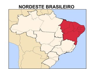 NORDESTE BRASILEIRO
 