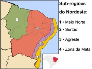 Sub-regiões
do Nordeste:
1 • Meio Norte
2 • Sertão
3 • Agreste
4 • Zona da Mata
 