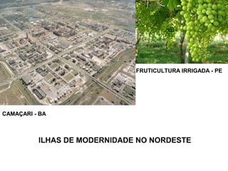 ILHAS DE MODERNIDADE NO NORDESTE
CAMAÇARI - BA
FRUTICULTURA IRRIGADA - PE
 