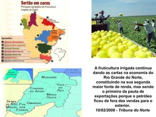 A fruticultura irrigada continua
dando as cartas na economia do
Rio Grande do Norte,
constituindo na sua segunda
maior fonte de renda, mas sendo
o primeiro da pauta de
exportações porque o petróleo
ficou de fora das vendas para o
exterior.
10/02/2008 - Tribuna do Norte
 