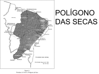 POLÍGONO
DAS SECAS
 