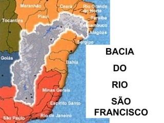 BACIA
DO
RIO
SÃO
FRANCISCO
 
