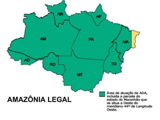 AMAZÔNIA LEGAL
 