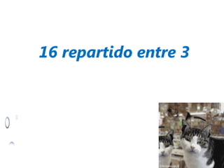 16 repartido entre 3