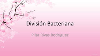 División Bacteriana
Pilar Rivas Rodríguez
 