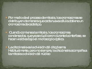 Por medio de el proceso de mitosis, los cromosomas se distribuyen de manera que cada nueva célula obtiene un cromosoma de cada tipo.  Cuando comienza la mitosis, los cromosomas condensados, que ya se duplicaron durante la interfase, se hacen visibles bajo el microscopio óptico.  La citocinesis es la división del citoplasma. Habitualmente, pero no siempre, la citocinesis acompaña a la mitosis o división del núcleo 