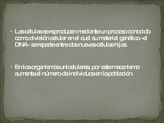 Las células se reproducen mediante un proceso conocido como división celular en el cual su material genético -el DNA- se reparte entre dos nuevas células hijas.  En los organismos unicelulares, por este mecanismo aumenta el número de individuos en la población. 