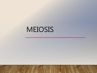 MEIOSIS
 