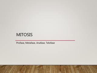 MITOSIS
Profase, Metafase, Anafase, Telofase
 