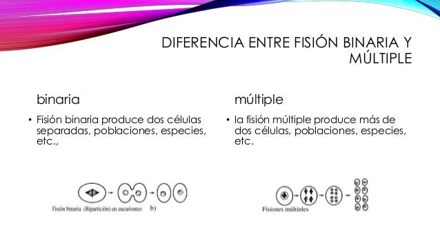 Diferencia entre forex y binarias