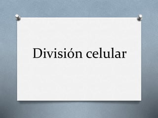División celular
 