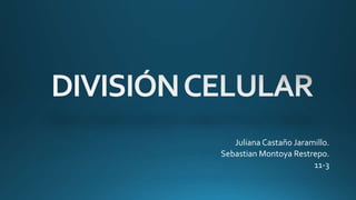 Juliana Castaño Jaramillo.
Sebastian Montoya Restrepo.
11-3
 