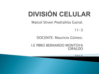 Maicol Stiven Piedrahita Guiral.
11-3
DOCENTE: Mauricio Gómez.
I.E PBRO BERNARDO MONTOYA
GIRALDO
2015
 