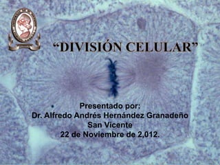 Presentado por:
Dr. Alfredo Andrés Hernández Granadeño
San Vicente
22 de Noviembre de 2,012.
 