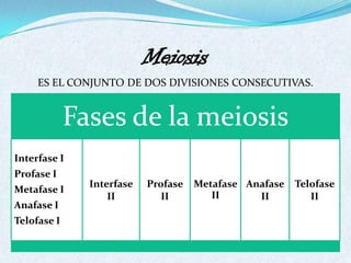 Meiosis
     ES EL CONJUNTO DE DOS DIVISIONES CONSECUTIVAS.


             Fases de la meiosis
Interfase I
Profase I
               Interfase   Profase   Metafase Anafase   Telofase
Metafase I
                   II         II        II      II         II
Anafase I
Telofase I
 