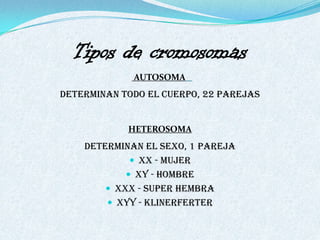 Tipos de cromosomas
             AUTOSOMA
Determinan todo el cuerpo, 22 parejas


            HETEROSOMA
    Determinan el sexo, 1 pareja
              xx - mujer
             xy - hombre
         xxx - super hembra
         xyy - klinerferter
 