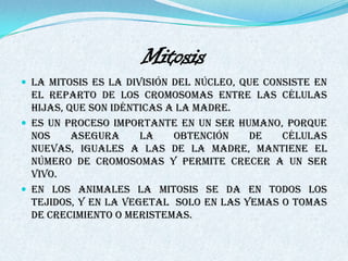 Mitosis
 La mitosis es la división del núcleo, que consiste en
  el reparto de los cromosomas entre las células
  hijas, que son idénticas a la madre.
 Es un proceso importante en un ser humano, porque
  nos     asegura     la    obtención   de   células
  nuevas, iguales a las de la madre, mantiene el
  número de cromosomas y permite crecer a un ser
  vivo.
 En los animales la mitosis se da en todos los
  tejidos, y en la vegetal solo en las yemas o tomas
  de crecimiento o meristemas.
 