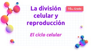 La división
celular y
reproducción
El ciclo celular
10mo Grado
 