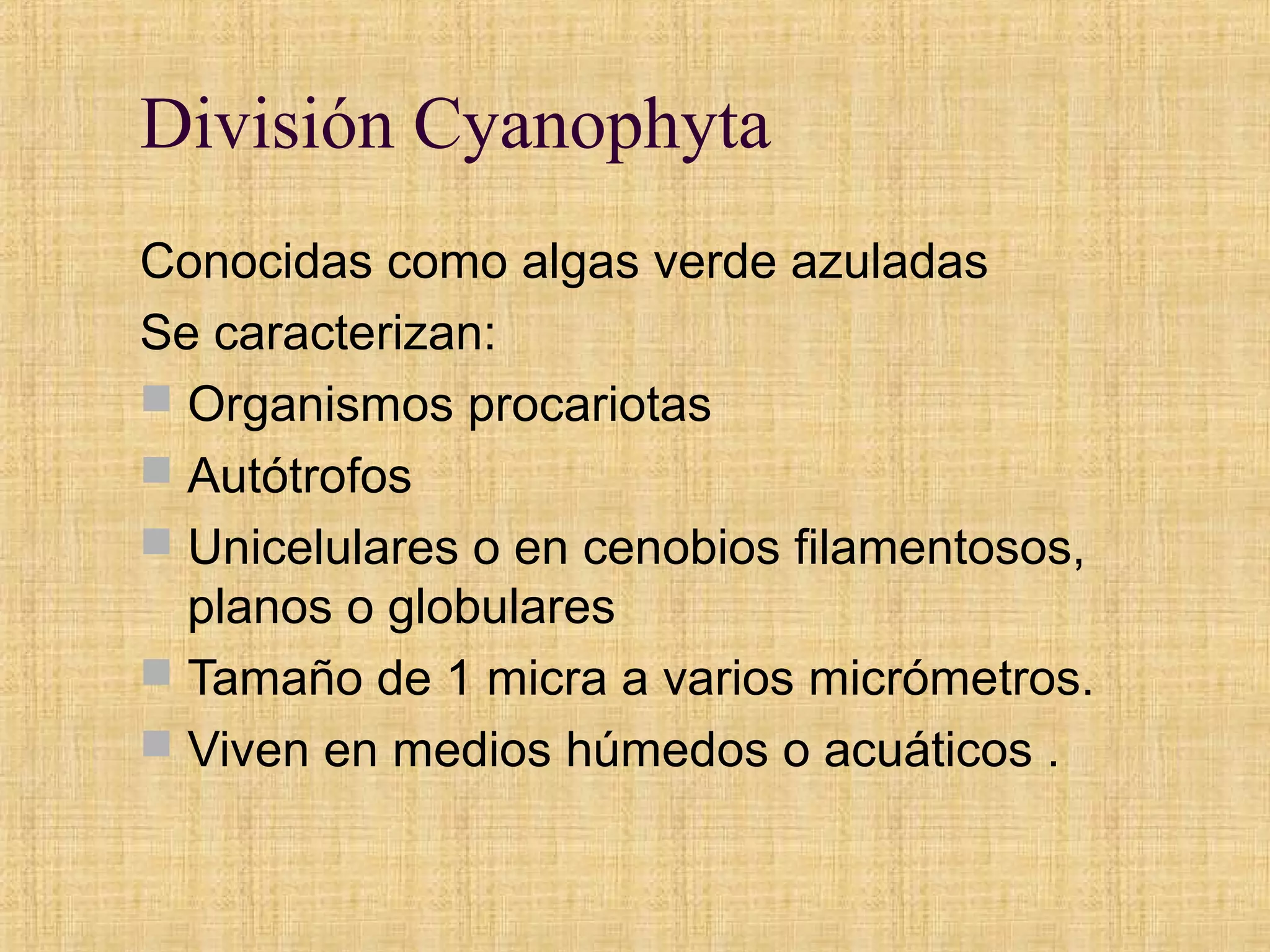 División cyanophyta 2013 | PPT