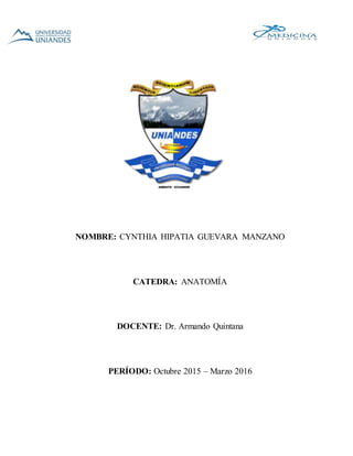 NOMBRE: CYNTHIA HIPATIA GUEVARA MANZANO
CATEDRA: ANATOMÍA
DOCENTE: Dr. Armando Quintana
PERÍODO: Octubre 2015 – Marzo 2016
 