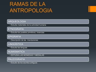 RAMAS DE LA
ANTROPOLOGIA
ARQUEOLOGIA
• Estudia materiales de la actividad humana
ETNOGRAFIA
• Estudia los pueblos primitivos, vivencias
EPIGRAFIA
• Descripción de las inscripciones
LINGÜÍSTICA
• Estudia las lenguas
NUMISMATICA
• ESTUDIA LAS MONEDAS Y MEDALAS
PALEOGRAFIA
• Estudio de los escritos antiguos
 