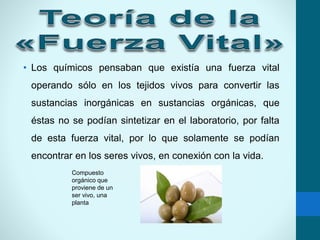 • Los químicos pensaban que existía una fuerza vital
operando sólo en los tejidos vivos para convertir las
sustancias inorgánicas en sustancias orgánicas, que
éstas no se podían sintetizar en el laboratorio, por falta
de esta fuerza vital, por lo que solamente se podían
encontrar en los seres vivos, en conexión con la vida.
Compuesto
orgánico que
proviene de un
ser vivo, una
planta
 